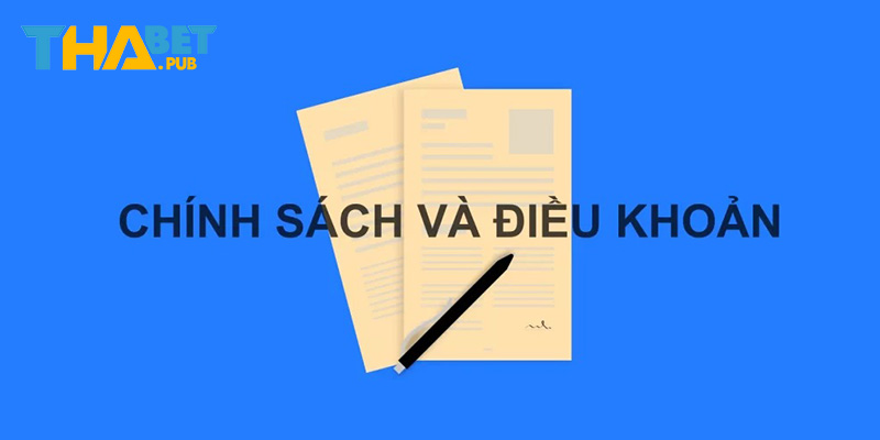 Các nội dung quan trọng trong chính sách điều khoản Thabet