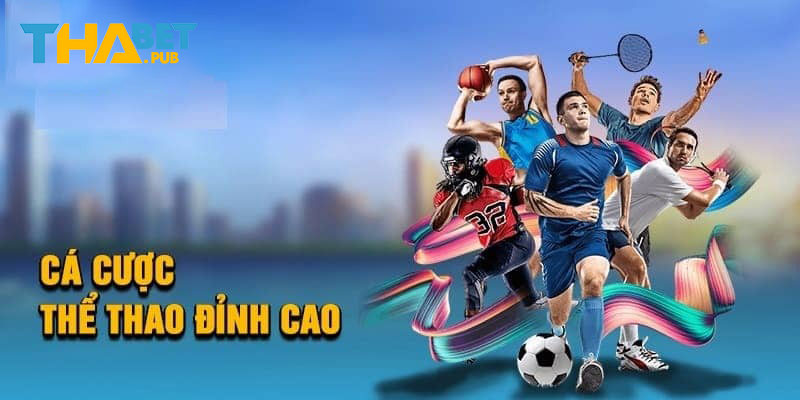 Danh sách sảnh cược đang có tại thể thao Thabet
