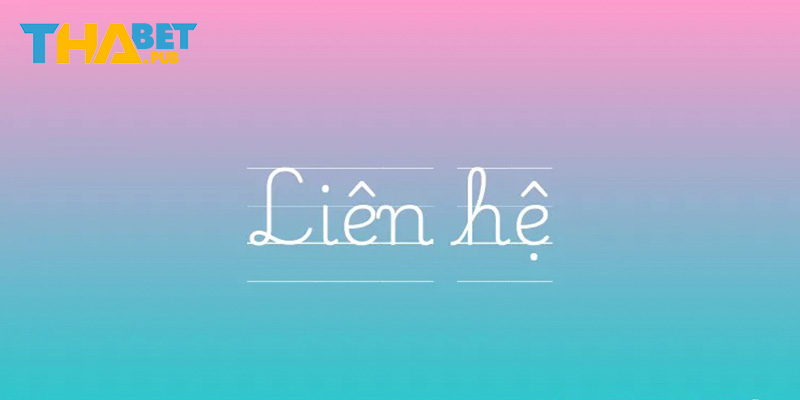 Hotline hỗ trợ - phương thức liên hệ Thabet hiệu quả nhanh chóng