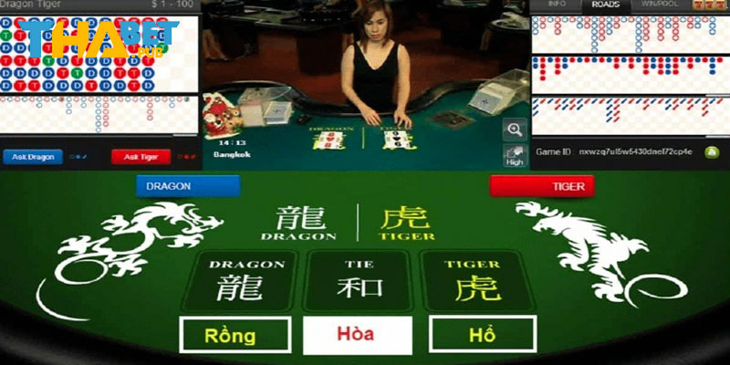 Rồng hổ là gì?