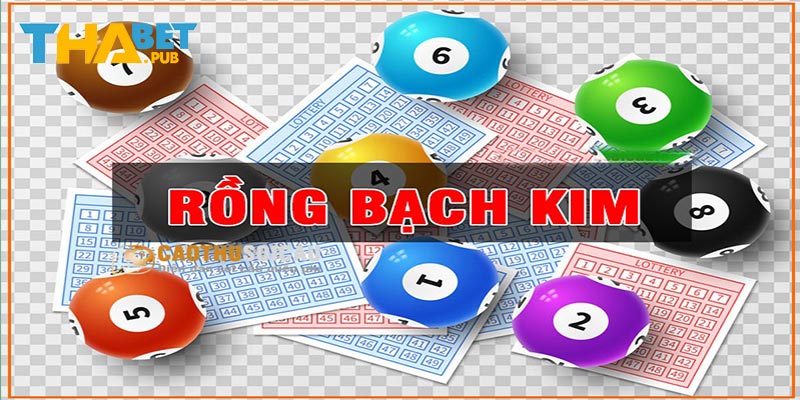 Thông tin chuẩn về trang web soi cầu rồng bạch kim