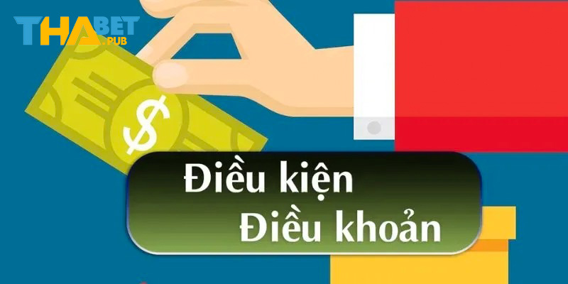 Tầm quan trọng của chính sách điều khoản
