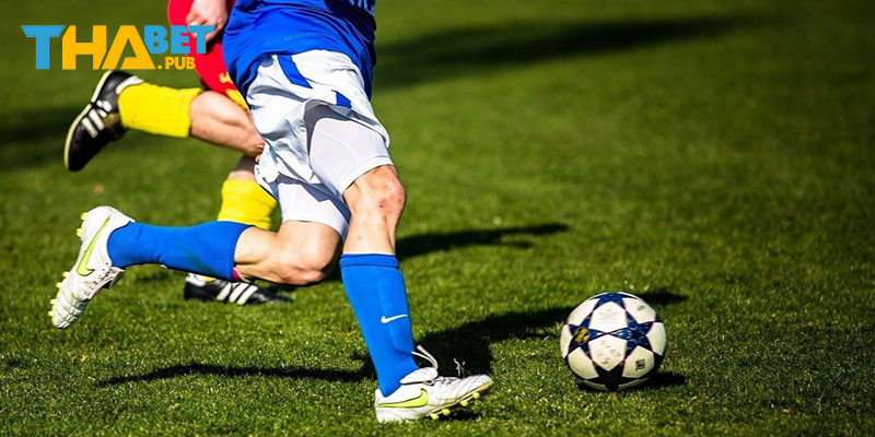 Các loại Odds phổ biến nhất bet thủ cần nắm